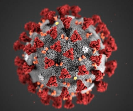 coronavirus bekämpfung